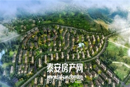 科信2室1厅1卫58㎡四楼16万